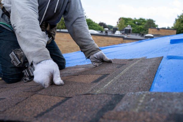 Roof Gutter Cleaning in Spring Valley Village, TX